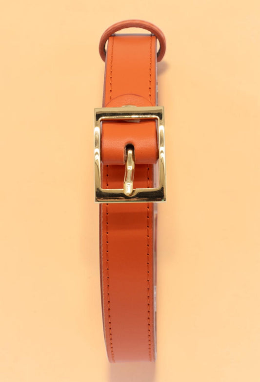 Cintura Halo pelle Pumpkin